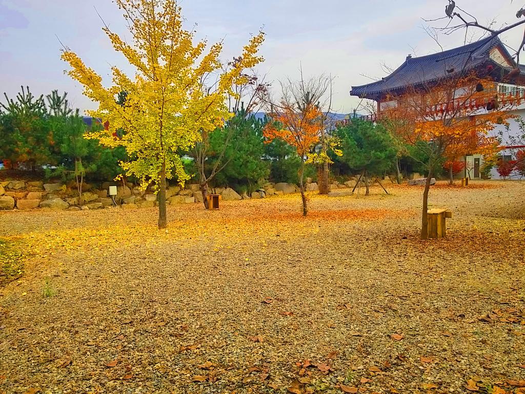 Chowoo Guesthouse Gyeongju Exterior foto